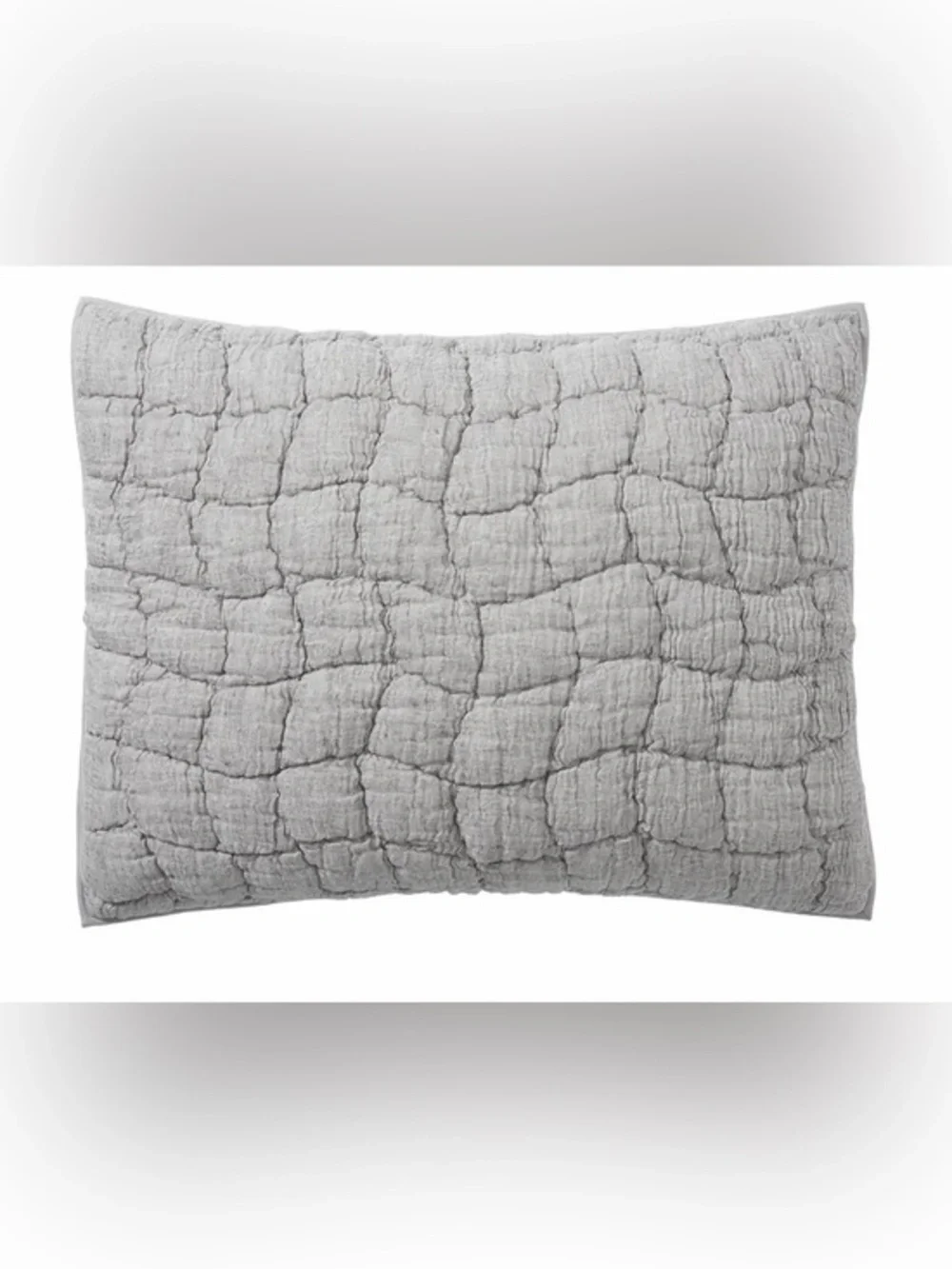 2 Pottery Barn Cloud Quilted Sham Covers in gray